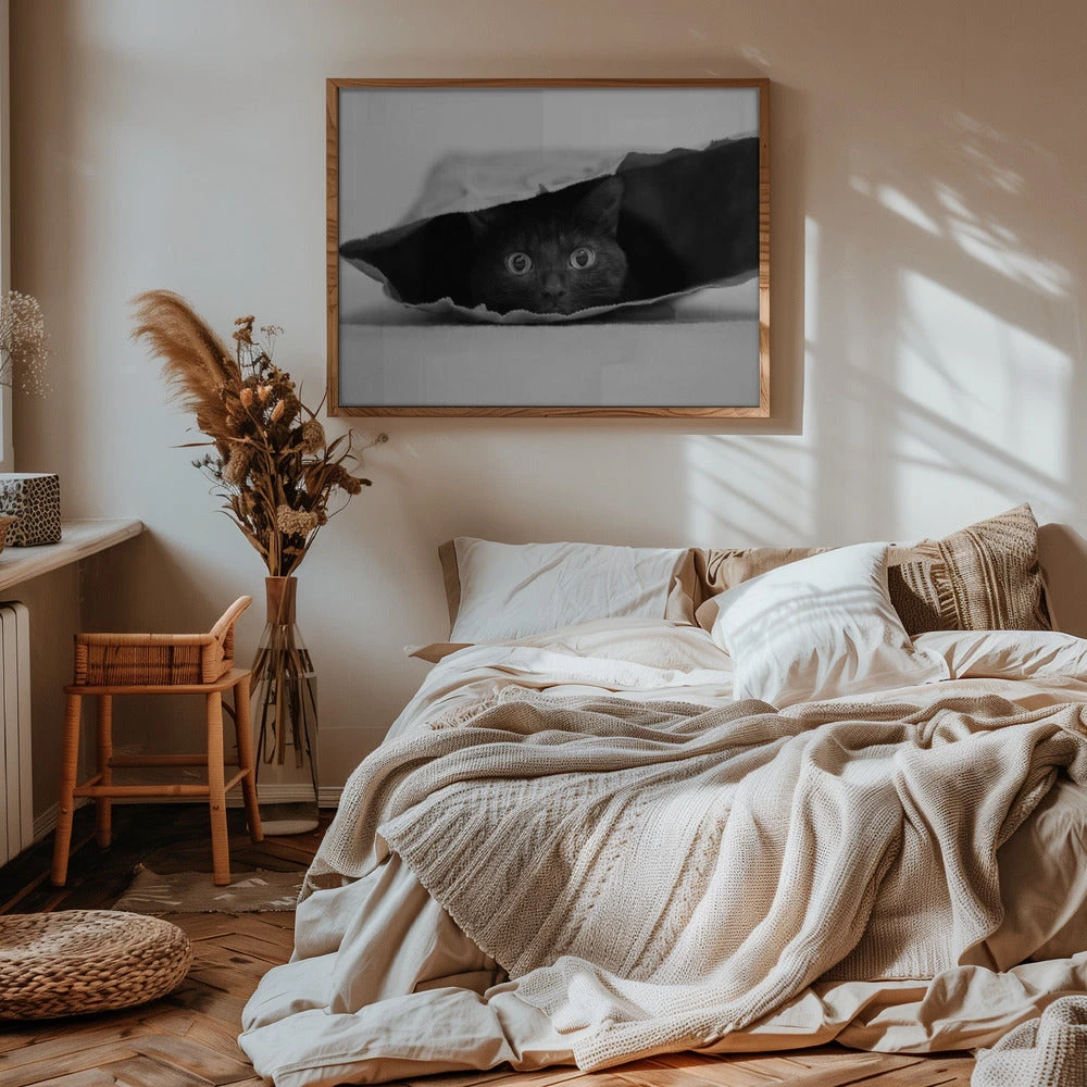 Cat In A Bag - Stretched Canvas, Poster Or Fine Art Print(Cat In A Bag Stretched Canvas Poster Or Fine Art Print) 7 Cat In A Bag - Stretched Canvas, Poster Or Fine Art Print(Cat In A Bag Stretched Canvas Poster Or Fine Art Print) - Image 7