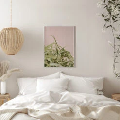 Cacti On Pink - Stretched Canvas, Poster Or Fine Art Print(Cacti On Pink Stretched Canvas Poster Or Fine Art Print) -Heart Wall Art Store pictufy interior white bedroom ratio 5x7 2711111