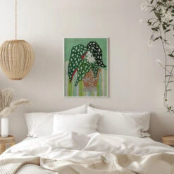 Begonia Maculata - Stretched Canvas, Poster Or Fine Art Print(Begonia Maculata Stretched Canvas Poster Or Fine Art Print) -Heart Wall Art Store pictufy interior white bedroom ratio 5x7 3167142