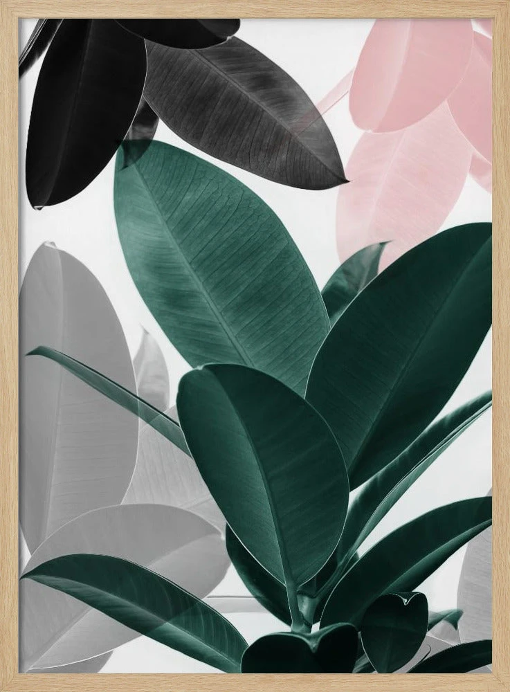 Leaf Play - Stretched Canvas, Poster Or Fine Art Print(Leaf Play Stretched Canvas Poster Or Fine Art Print) 3 Leaf Play - Stretched Canvas, Poster Or Fine Art Print(Leaf Play Stretched Canvas Poster Or Fine Art Print) - Image 3