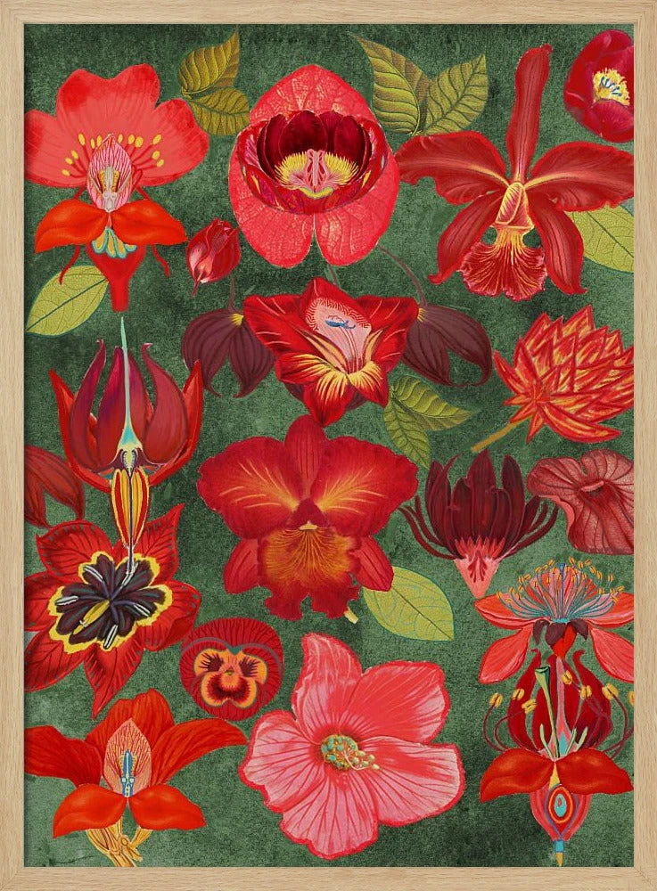 Final Eclectic Garden Copy 3.png - Stretched Canvas, Poster Or Fine Art Print(Final Eclectic Garden Copy 3 Png Stretched Canvas Poster Or Fine Art Print) 3 Final Eclectic Garden Copy 3.png - Stretched Canvas, Poster Or Fine Art Print(Final Eclectic Garden Copy 3 Png Stretched Canvas Poster Or Fine Art Print) - Image 3