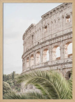 Colosseum - Stretched Canvas, Poster Or Fine Art Print(Colosseum Stretched Canvas Poster Or Fine Art Print) -Heart Wall Art Store pictufy light wood 50x70 2710924