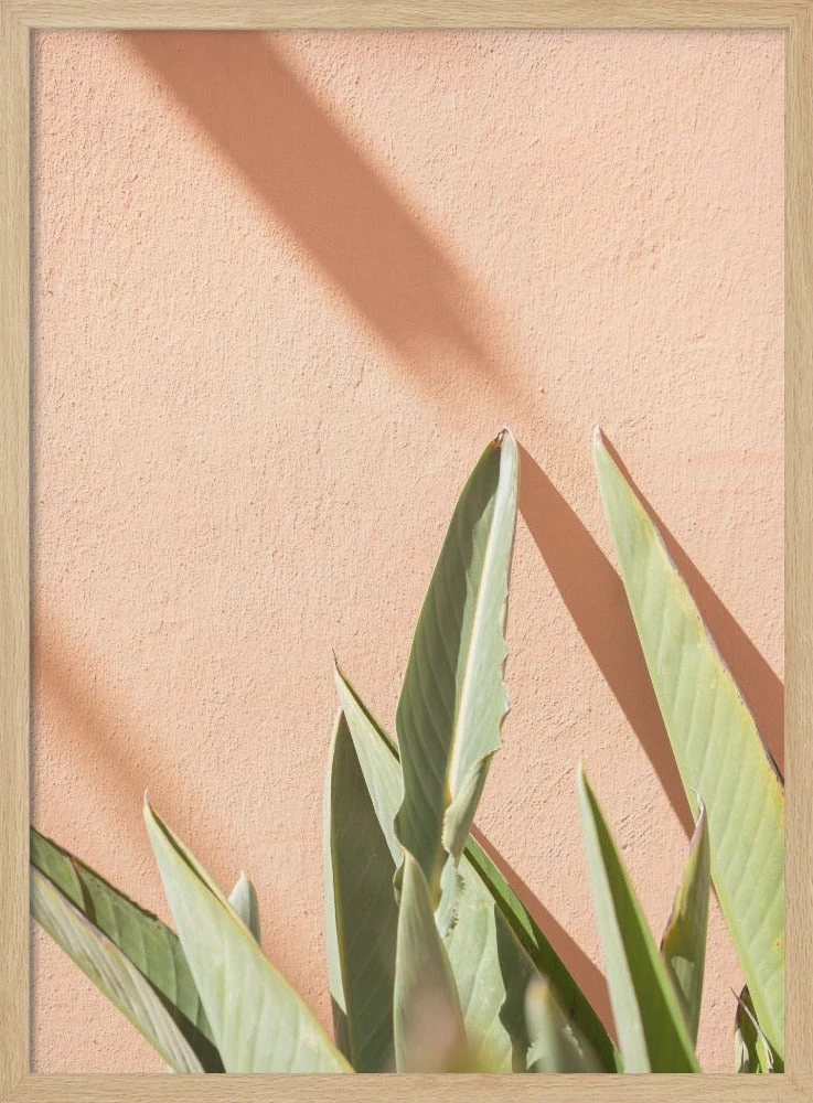 Botanical Pastels - Stretched Canvas, Poster Or Fine Art Print(Botanical Pastels Stretched Canvas Poster Or Fine Art Print) 3 Botanical Pastels - Stretched Canvas, Poster Or Fine Art Print(Botanical Pastels Stretched Canvas Poster Or Fine Art Print) - Image 3