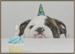 A Little Birthday - Stretched Canvas, Poster Or Fine Art Print(A Little Birthday Stretched Canvas Poster Or Fine Art Print) -Heart Wall Art Store pictufy light wood floating frame canvas horizonta 1108248