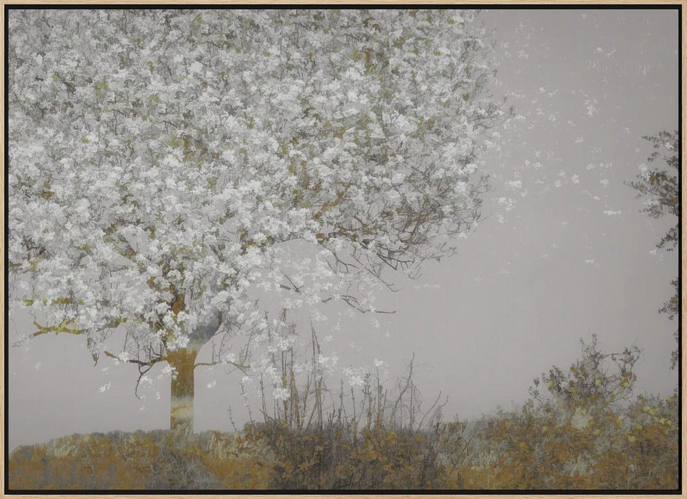 Fruit Tree - Stretched Canvas, Poster Or Fine Art Print(Fruit Tree Stretched Canvas Poster Or Fine Art Print) 11 Fruit Tree - Stretched Canvas, Poster Or Fine Art Print(Fruit Tree Stretched Canvas Poster Or Fine Art Print) - Image 11