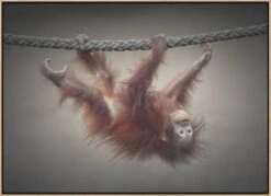 DON'T MURDER OUR PRIMEVAL FORESTS - Stretched Canvas, Poster Or Fine Art Print(Dont Murder Our Primeval Forests Stretched Canvas Poster Or Fine Art Print) -Heart Wall Art Store pictufy light wood floating frame canvas horizonta 1708069