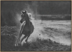 Take Off - Stretched Canvas, Poster Or Fine Art Print(Take Off Stretched Canvas Poster Or Fine Art Print) 22 Take Off - Stretched Canvas, Poster Or Fine Art Print(Take Off Stretched Canvas Poster Or Fine Art Print) -Heart Wall Art Store pictufy light wood floating frame canvas horizonta 497586