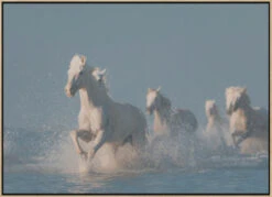 Angels Of Camargue - Stretched Canvas, Poster Or Fine Art Print(Angels Of Camargue Stretched Canvas Poster Or Fine Art Print) -Heart Wall Art Store pictufy light wood floating frame canvas horizonta 984251