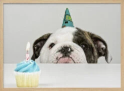 A Little Birthday - Stretched Canvas, Poster Or Fine Art Print(A Little Birthday Stretched Canvas Poster Or Fine Art Print) -Heart Wall Art Store pictufy light wood horizontal 50x70 1108248