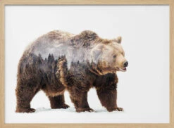 Bear - Stretched Canvas, Poster Or Fine Art Print(Bear Stretched Canvas Poster Or Fine Art Print 1) -Heart Wall Art Store pictufy light wood horizontal 50x70 1517150