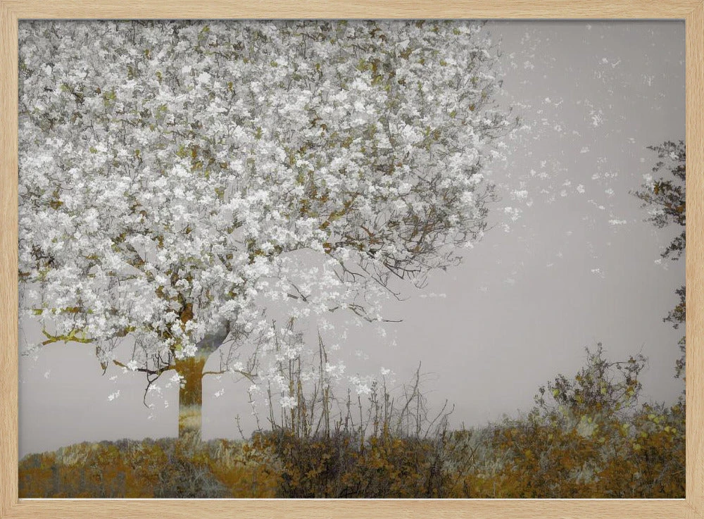 Fruit Tree - Stretched Canvas, Poster Or Fine Art Print(Fruit Tree Stretched Canvas Poster Or Fine Art Print) 2 Fruit Tree - Stretched Canvas, Poster Or Fine Art Print(Fruit Tree Stretched Canvas Poster Or Fine Art Print) - Image 2