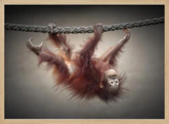 DON'T MURDER OUR PRIMEVAL FORESTS - Stretched Canvas, Poster Or Fine Art Print(Dont Murder Our Primeval Forests Stretched Canvas Poster Or Fine Art Print) -Heart Wall Art Store pictufy light wood horizontal 50x70 1708069