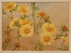 Yellow Daisies - Stretched Canvas, Poster Or Fine Art Print(Yellow Daisies Stretched Canvas Poster Or Fine Art Print) -Heart Wall Art Store pictufy light wood horizontal 50x70 2575869