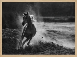 Take Off - Stretched Canvas, Poster Or Fine Art Print(Take Off Stretched Canvas Poster Or Fine Art Print) 14 Take Off - Stretched Canvas, Poster Or Fine Art Print(Take Off Stretched Canvas Poster Or Fine Art Print) -Heart Wall Art Store pictufy light wood horizontal 50x70 497586