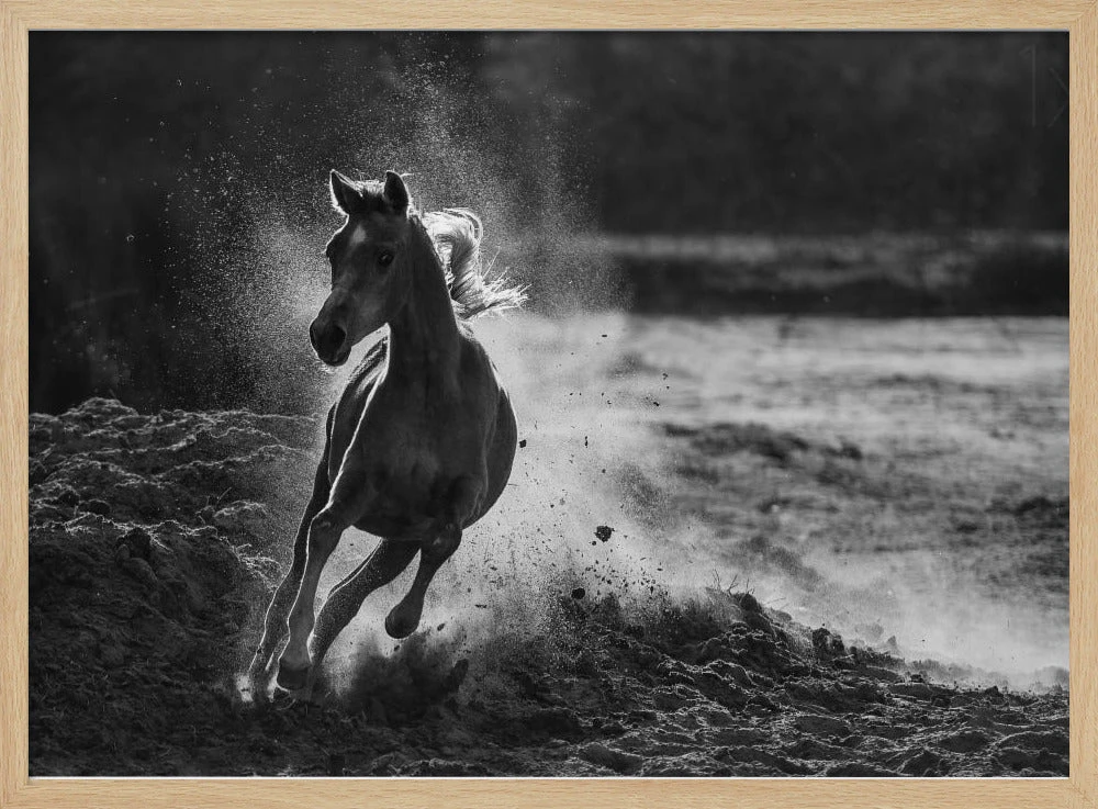 Take Off - Stretched Canvas, Poster Or Fine Art Print(Take Off Stretched Canvas Poster Or Fine Art Print) 3 Take Off - Stretched Canvas, Poster Or Fine Art Print(Take Off Stretched Canvas Poster Or Fine Art Print) - Image 3