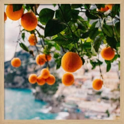 Amalfi Coast Oranges - Square Stretched Canvas, Poster Or Fine Art Print(Amalfi Coast Oranges Square Stretched Canvas Poster Or Fine Art Print) -Heart Wall Art Store pictufy light wood square 50x70 2758176