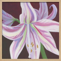 Rosa Amaryllis - Square Stretched Canvas, Poster Or Fine Art Print(Rosa Amaryllis Square Stretched Canvas Poster Or Fine Art Print) -Heart Wall Art Store pictufy light wood square 50x70 3163065