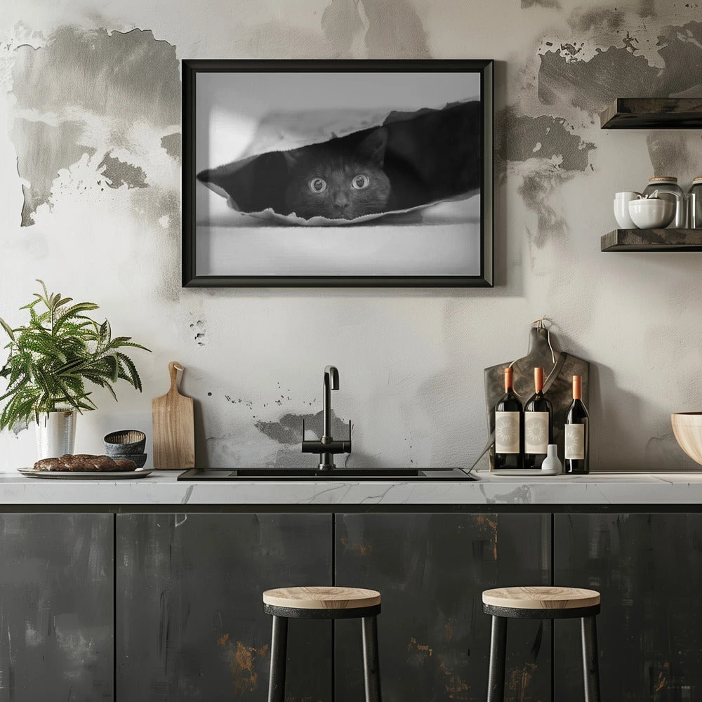 Cat In A Bag - Stretched Canvas, Poster Or Fine Art Print(Cat In A Bag Stretched Canvas Poster Or Fine Art Print) 12 Cat In A Bag - Stretched Canvas, Poster Or Fine Art Print(Cat In A Bag Stretched Canvas Poster Or Fine Art Print) - Image 12