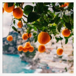 Amalfi Coast Oranges - Square Stretched Canvas, Poster Or Fine Art Print(Amalfi Coast Oranges Square Stretched Canvas Poster Or Fine Art Print) -Heart Wall Art Store pictufy white square 50x70 2758176