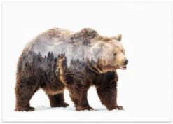 Bear - Stretched Canvas, Poster Or Fine Art Print(Bear Stretched Canvas Poster Or Fine Art Print 1) -Heart Wall Art Store poster landscape 1517150