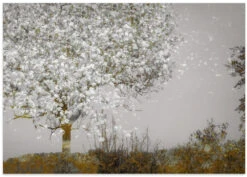 Fruit Tree - Stretched Canvas, Poster Or Fine Art Print(Fruit Tree Stretched Canvas Poster Or Fine Art Print) 16 Fruit Tree - Stretched Canvas, Poster Or Fine Art Print(Fruit Tree Stretched Canvas Poster Or Fine Art Print) -Heart Wall Art Store poster landscape 1522836