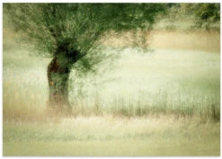 Willow - Stretched Canvas, Poster Or Fine Art Print(Willow Stretched Canvas Poster Or Fine Art Print 2) -Heart Wall Art Store poster landscape 1706031
