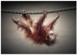 DON'T MURDER OUR PRIMEVAL FORESTS - Stretched Canvas, Poster Or Fine Art Print(Dont Murder Our Primeval Forests Stretched Canvas Poster Or Fine Art Print) -Heart Wall Art Store poster landscape 1708069