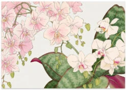 Vintage Orchid Flower No.2 - Stretched Canvas, Poster Or Fine Art Print(Vintage Orchid Flower No 2 Stretched Canvas Poster Or Fine Art Print) -Heart Wall Art Store poster landscape 2842773