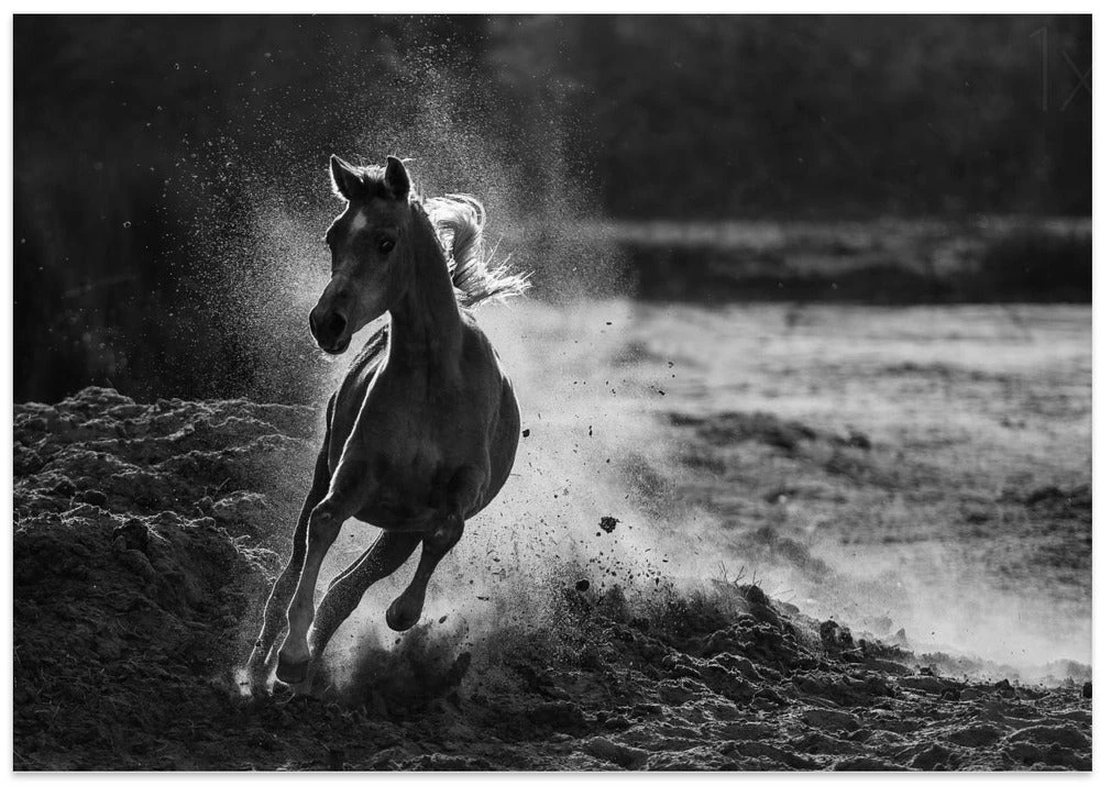 Take Off - Stretched Canvas, Poster Or Fine Art Print(Take Off Stretched Canvas Poster Or Fine Art Print) 5 Take Off - Stretched Canvas, Poster Or Fine Art Print(Take Off Stretched Canvas Poster Or Fine Art Print) - Image 5