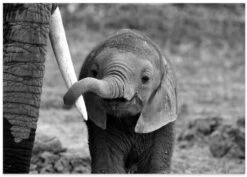 Close - Stretched Canvas, Poster Or Fine Art Print(Close Stretched Canvas Poster Or Fine Art Print) -Heart Wall Art Store poster landscape 771686