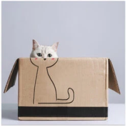 Cat In The Box - Square Stretched Canvas, Poster Or Fine Art Print(Cat In The Box Square Stretched Canvas Poster Or Fine Art Print)