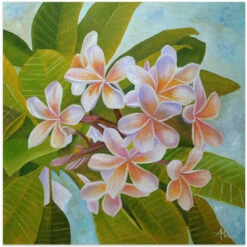 Plumeria - Square Stretched Canvas, Poster Or Fine Art Print(Plumeria Square Stretched Canvas Poster Or Fine Art Print)