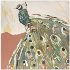 Peacock Salmon - Square Stretched Canvas, Poster Or Fine Art Print(Peacock Salmon Square Stretched Canvas Poster Or Fine Art Print)