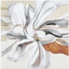 Fleur II - Square Stretched Canvas, Poster Or Fine Art Print(Fleur Ii Square Stretched Canvas Poster Or Fine Art Print)